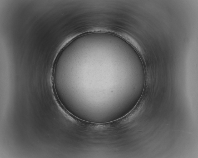 X0000112150847200908211412