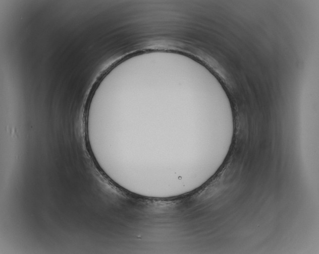 X0000112150848200908211412