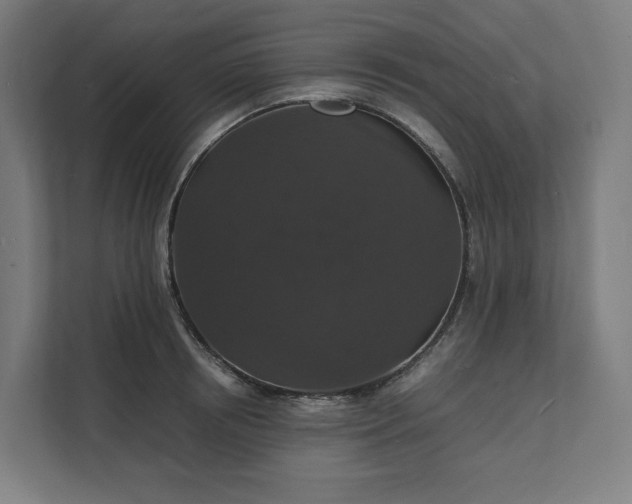 X0000112150850200908211413