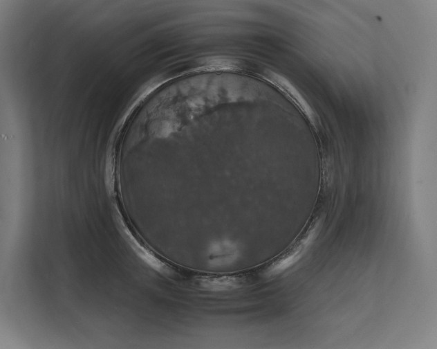 X0000112150851200908211413