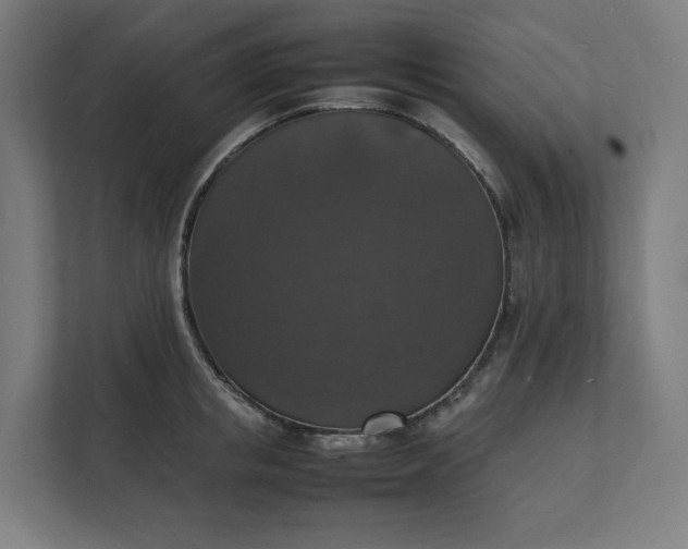 X0000112150853200908211413