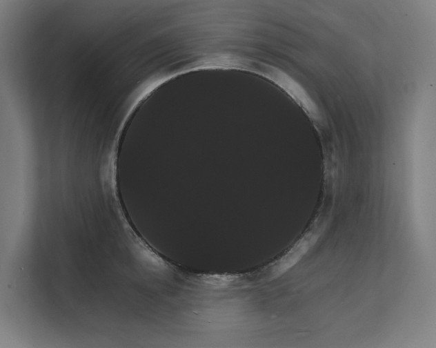 X0000112150854200908211413
