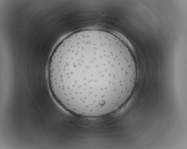 X0000112150855200908211413