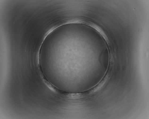 X0000112150858200908211413