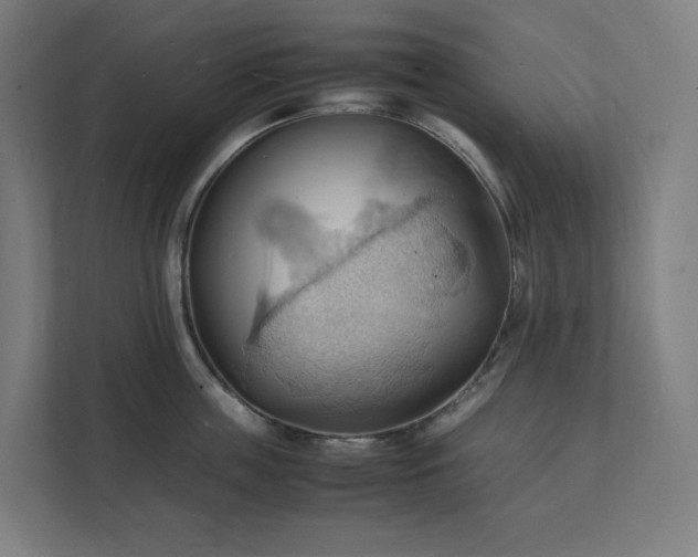 X0000112150859200908211413
