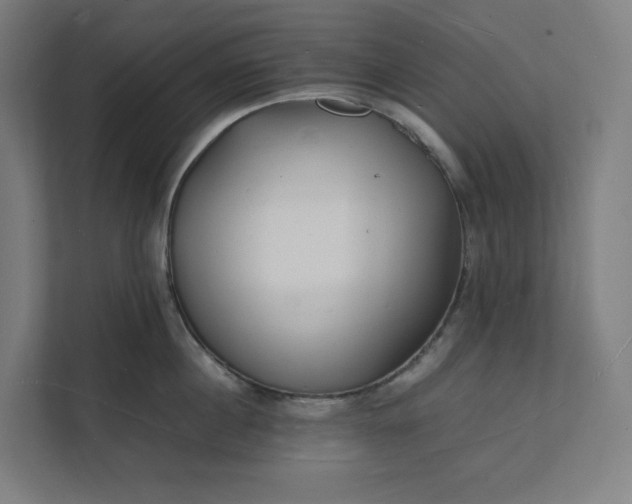 X0000112150860200908211413