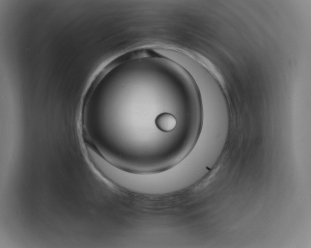 X0000112150863200908211413