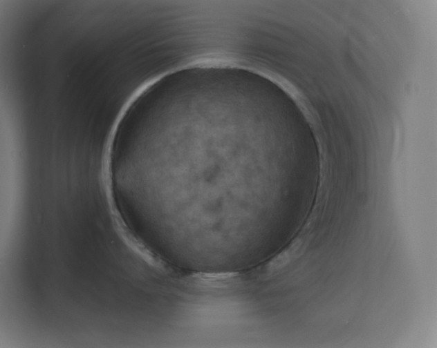 X0000112150864200908211413