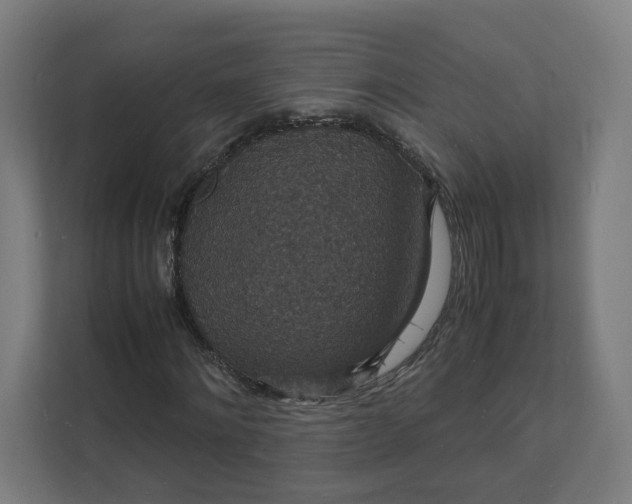 X0000112150868200908211412