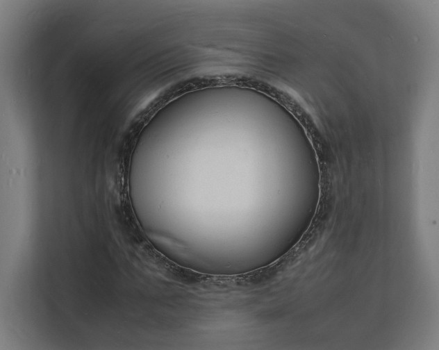 X0000112150871200908211412