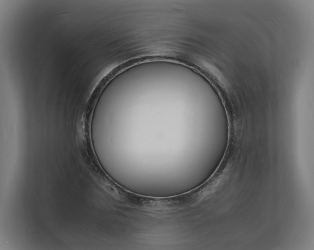 X0000112150875200908211412
