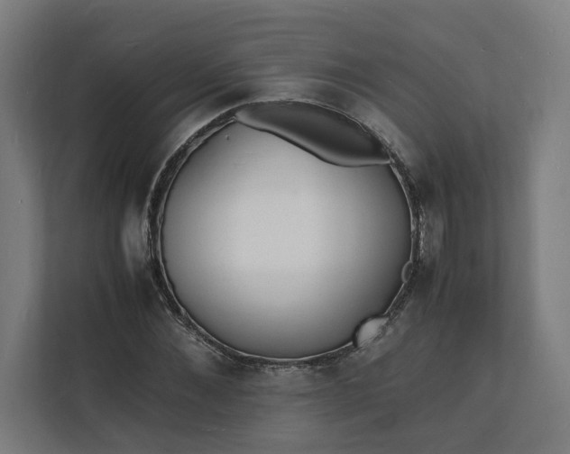 X0000112150876200908211412