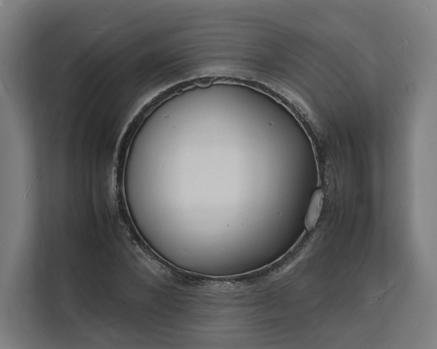 X0000112150880200908211412