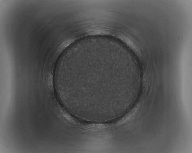 X0000112150881200908211412