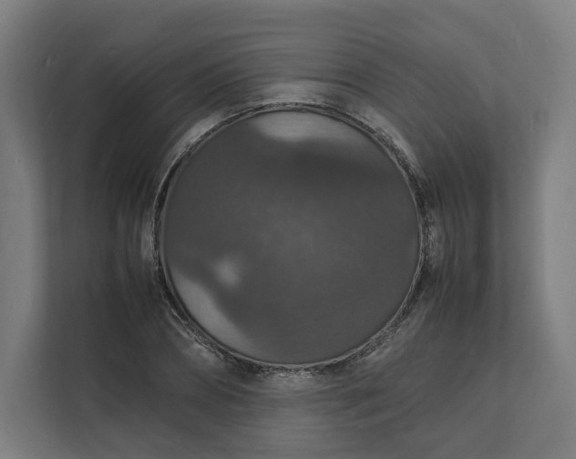 X0000112150882200908211412