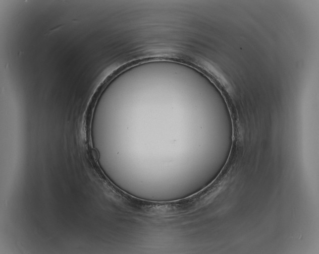 X0000112150883200908211412