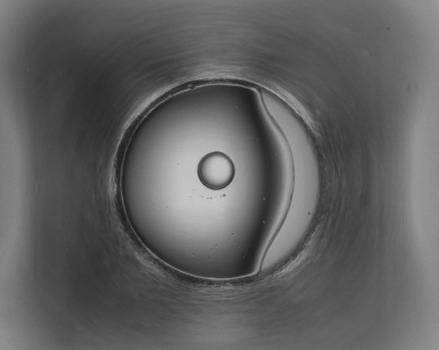 X0000112150885200908211412