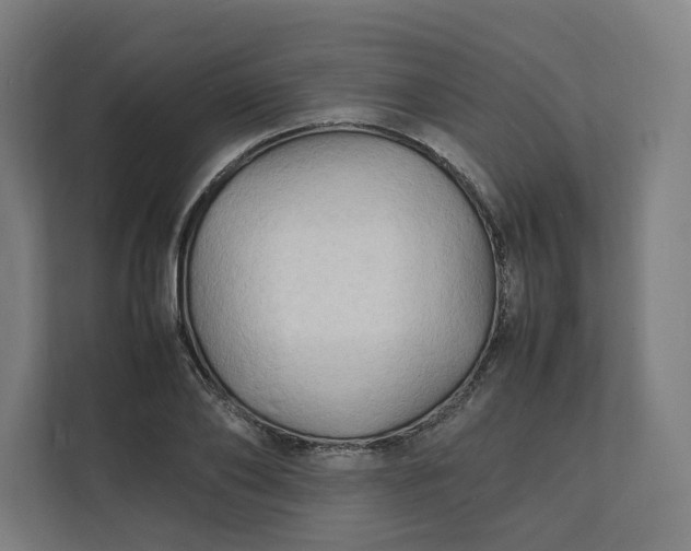 X0000112150886200908211412