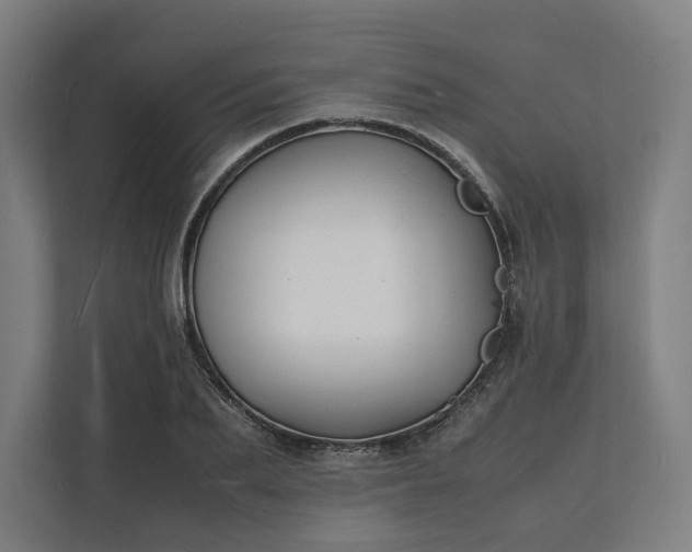 X0000112150887200908211412