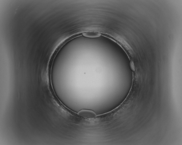 X0000112150888200908211412