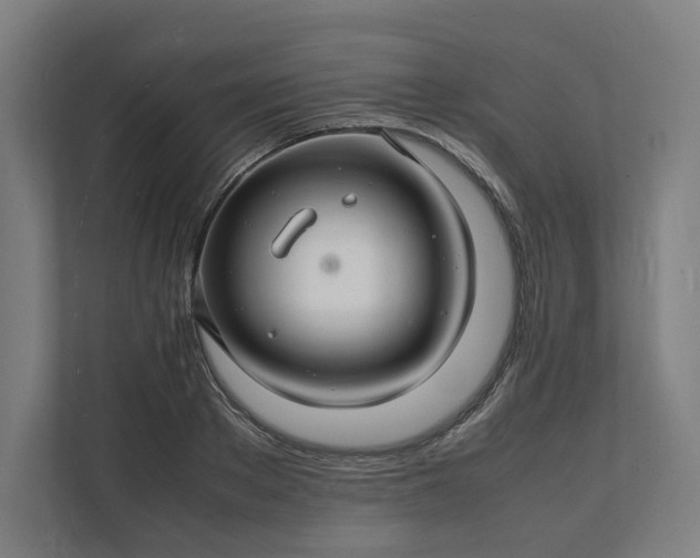 X0000112150889200908211412