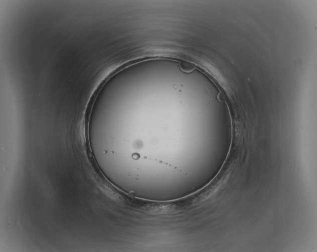 X0000112150891200908211412