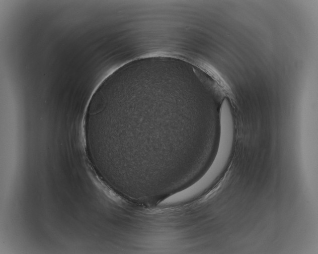 X0000112150892200908211412