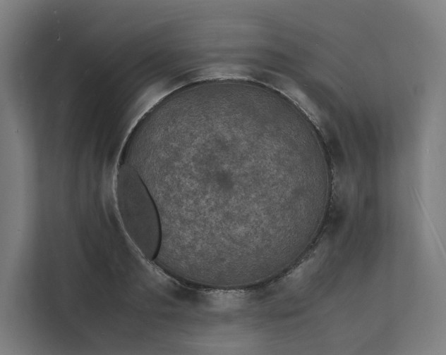 X0000112150893200908211412