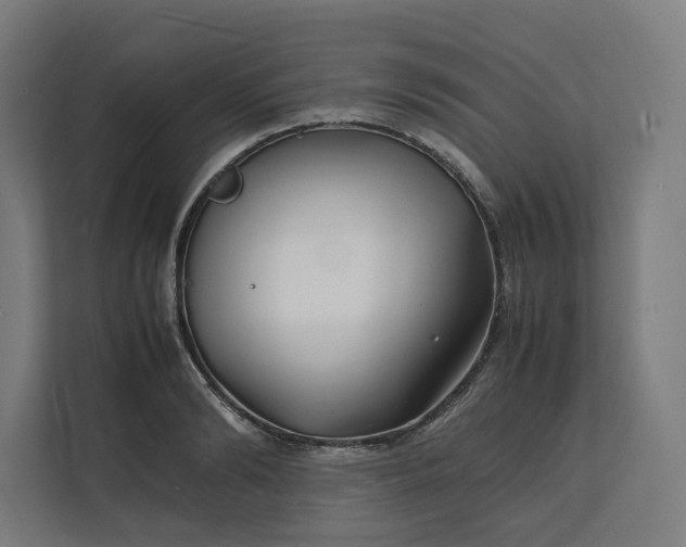X0000112150894200908211412