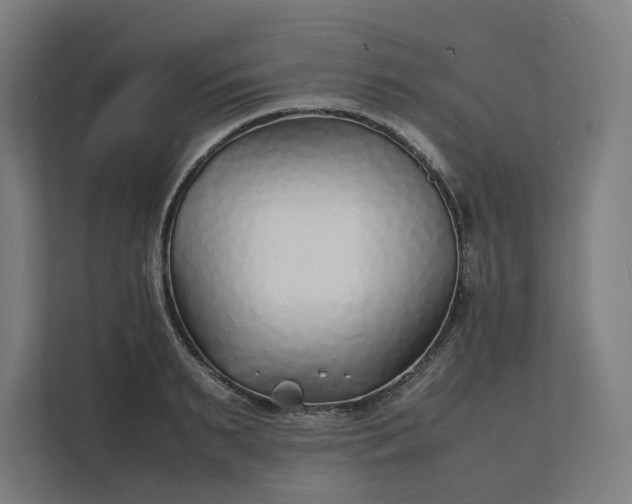 X0000112150895200908211412