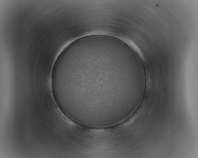 X0000112150896200908211412