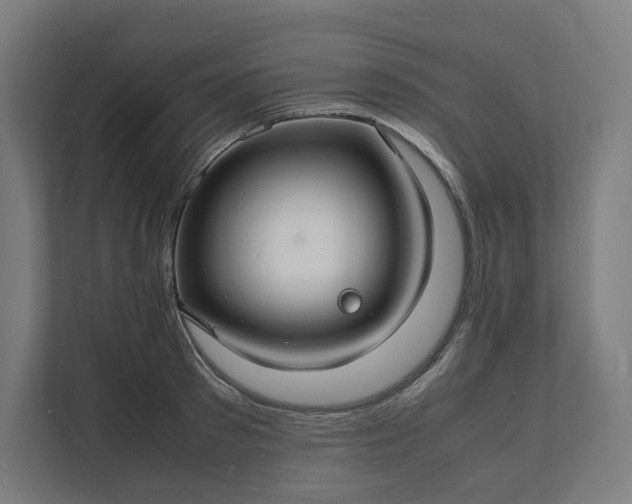 X0000112150897200908211412