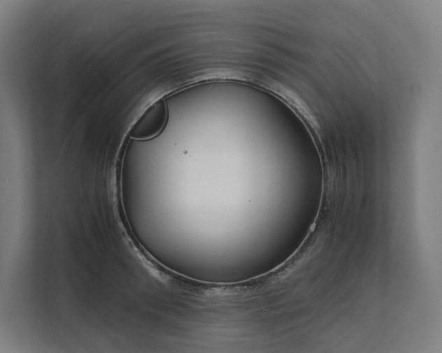 X0000112150898200908211412