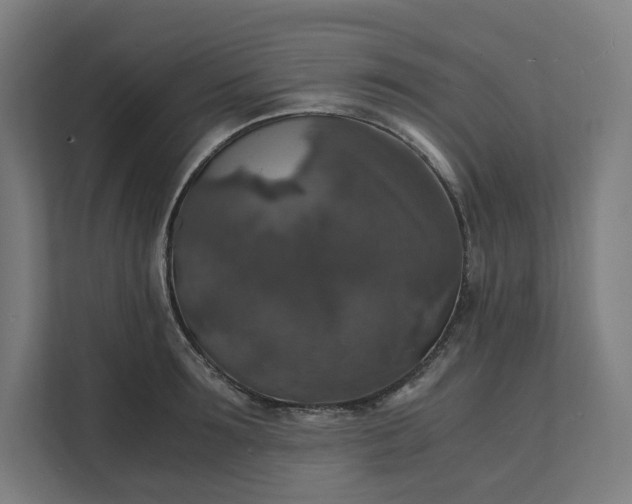 X0000112150899200908211412