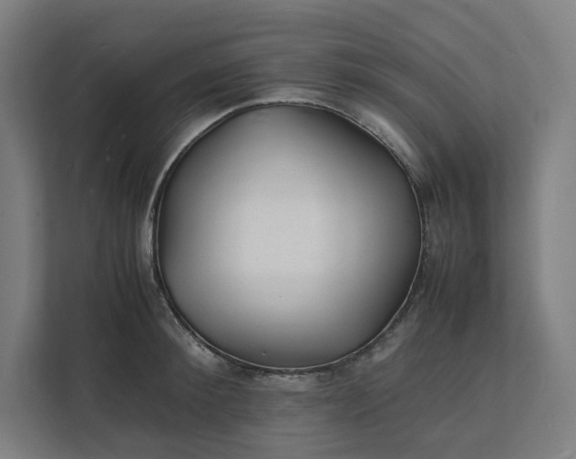 X0000112150900200908211412