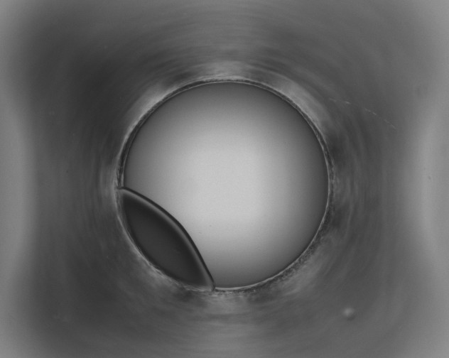 X0000112150901200908211412