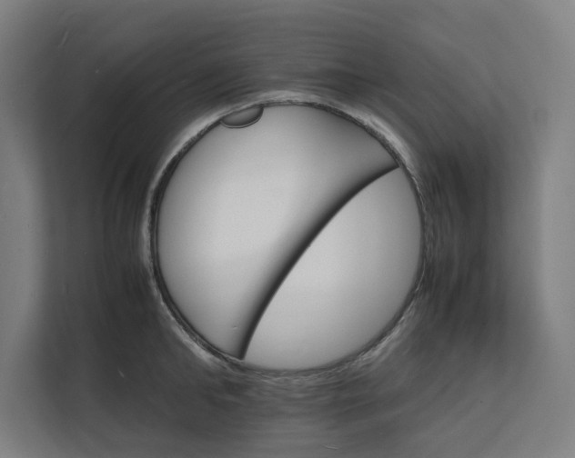 X0000112150902200908211412