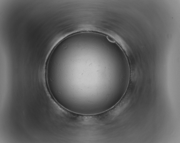 X0000112150903200908211412