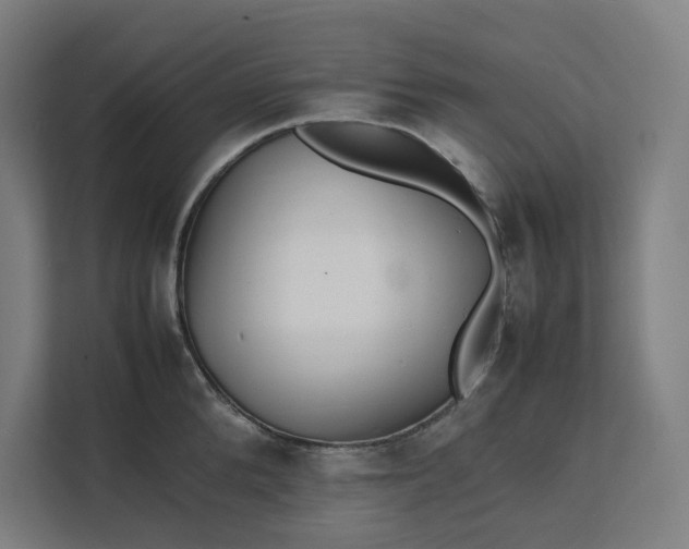 X0000112150904200908211412