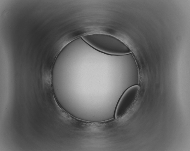 X0000112150905200908211412
