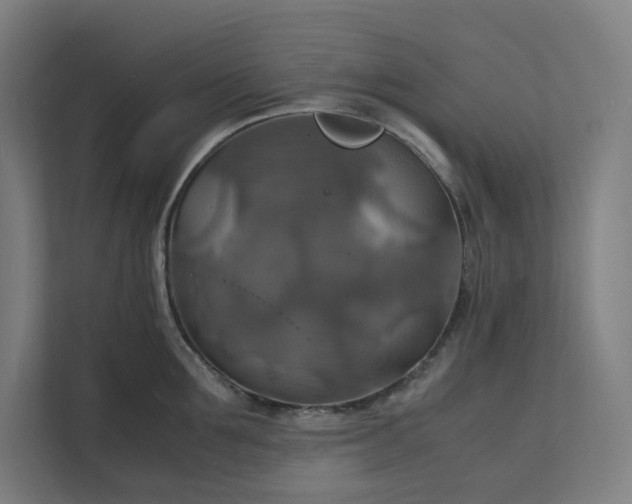 X0000112150907200908211412