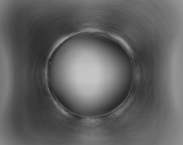 X0000112150910200908211411