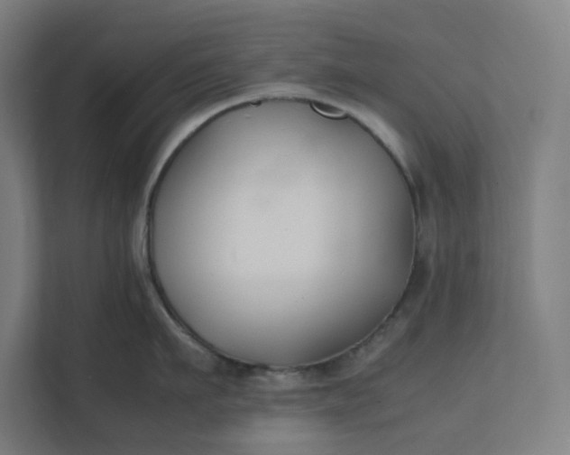 X0000112150911200908211411