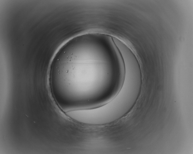 X0000112150912200908211411