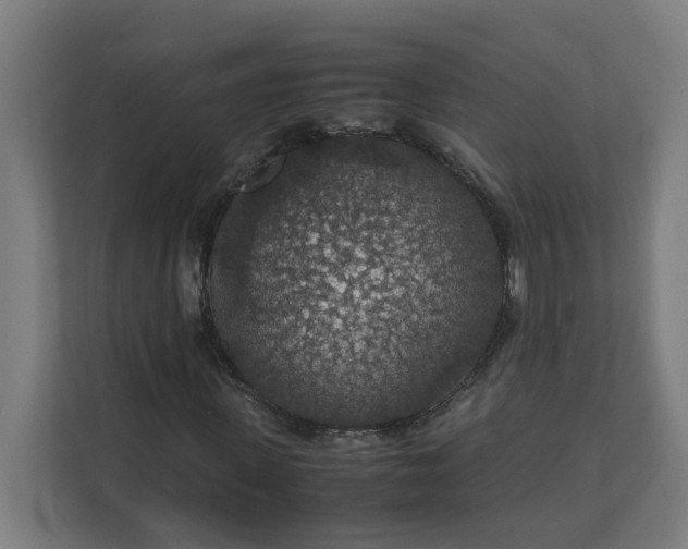 X0000112150915200908211411