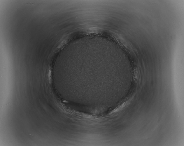 X0000112150916200908211411