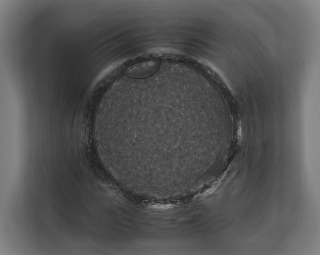 X0000112150919200908211411