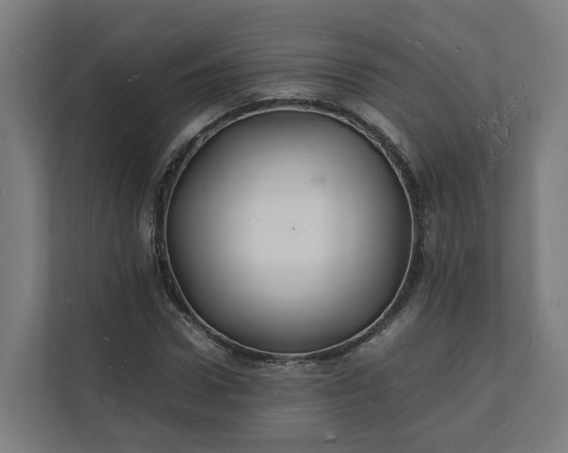 X0000112150922200908211411