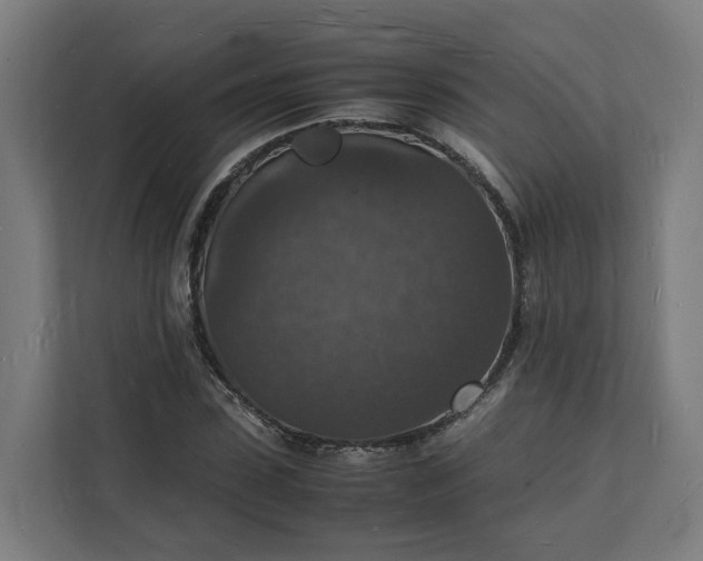 X0000112150923200908211411