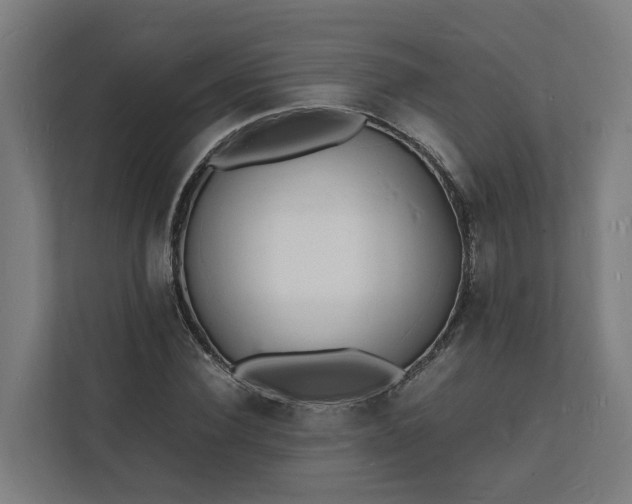 X0000112150924200908211411
